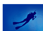 Diver